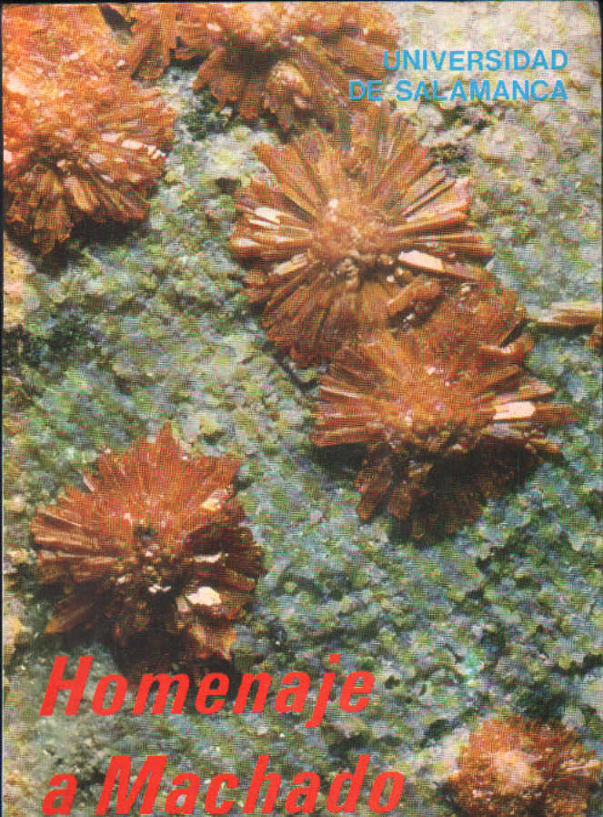 HOMENAJE A MACHADO