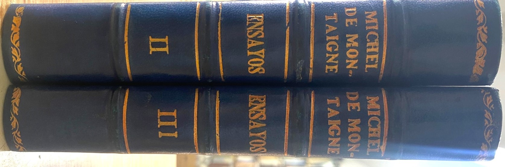 ENSAYOS (TOMOS 2 Y 3)