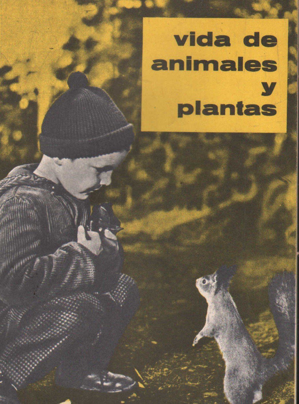 VIDA DE ANIMALES Y PLANTAS