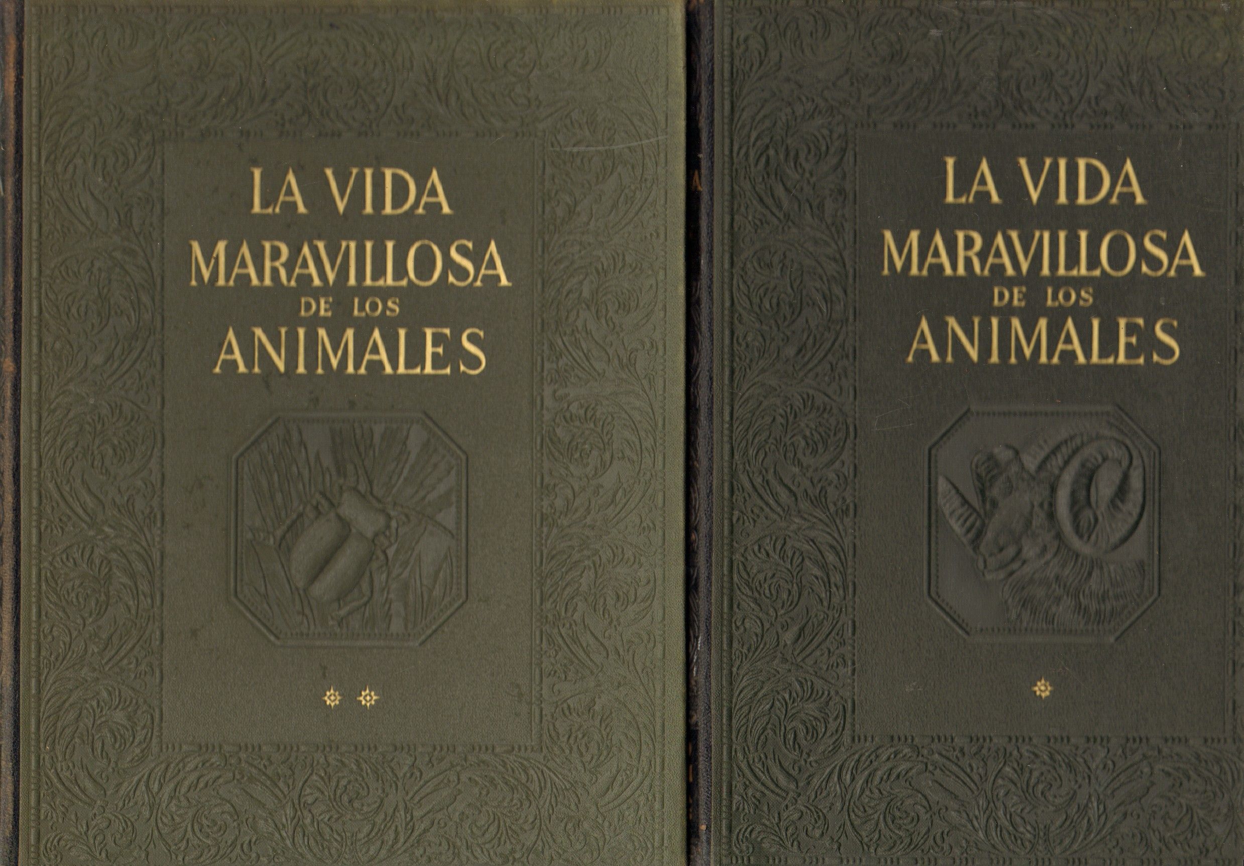 LA VIDA MARAVILLOSA DE LOS ANIMALES (2 TOMOS)
