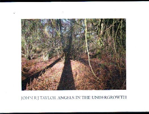 JOHN RJ TAYLOR ANGELS IN THE UNDERGROWTH.
