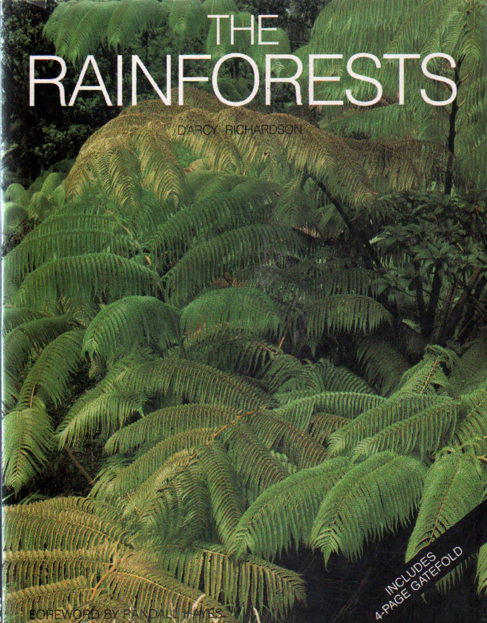 THE RAINFORESTS
