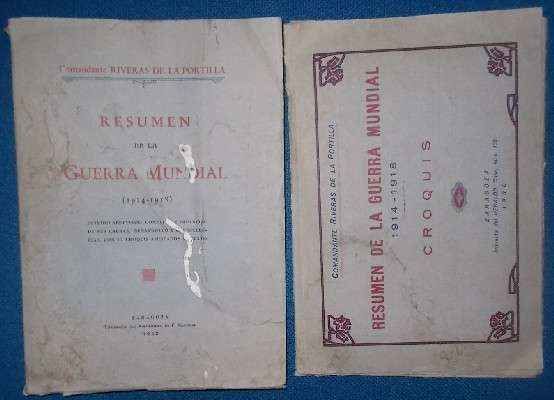 RESUMEN DE LA GUERRA MUNDIAL (1914-1918).