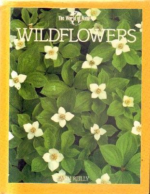 WILDFLOWERS.