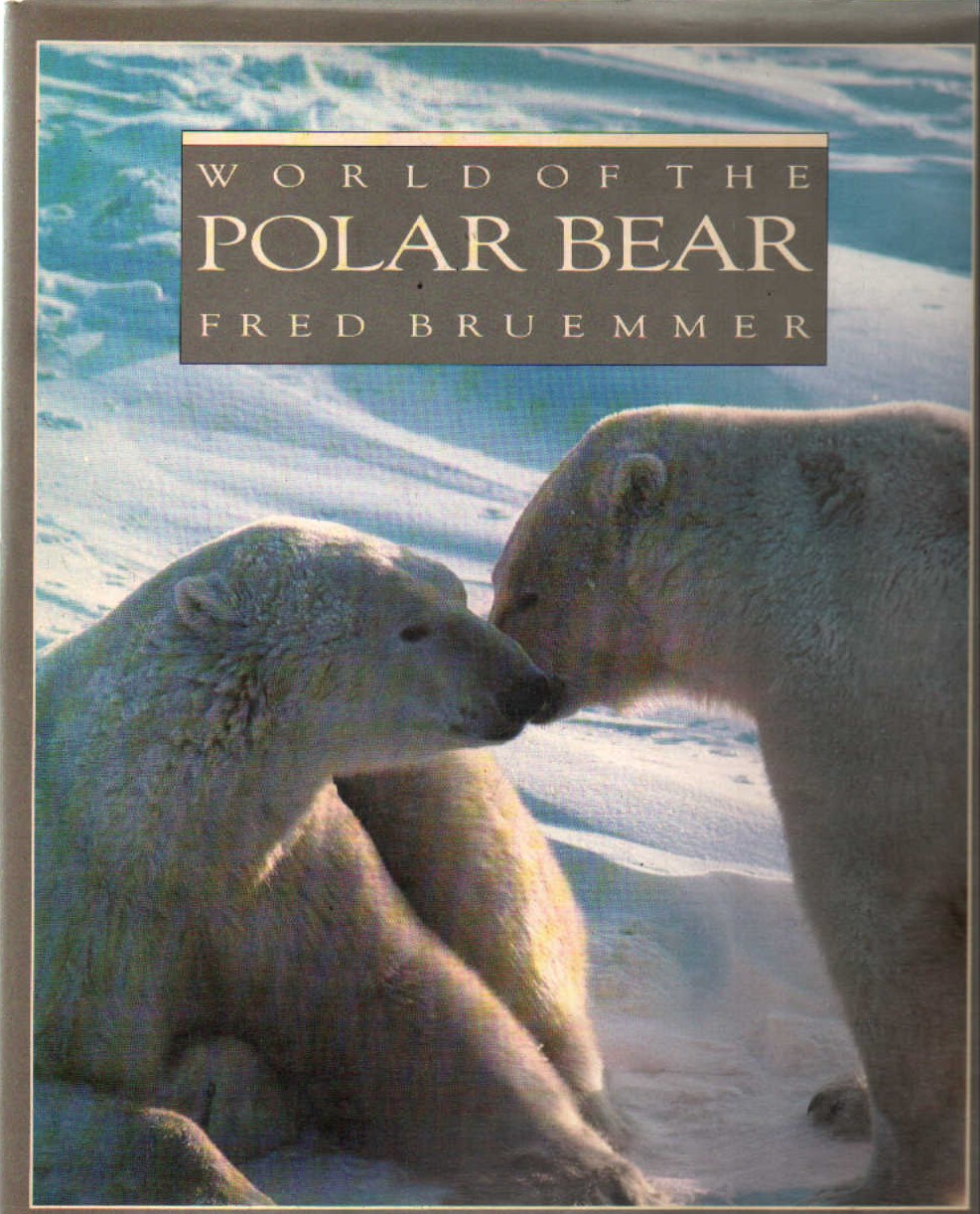 WORLD OF THE POLAR BEAR