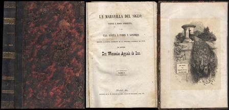 LA MARAVILLA DEL SIGLO, CARTAS A MARIA ENRIQUETA… TOMO I