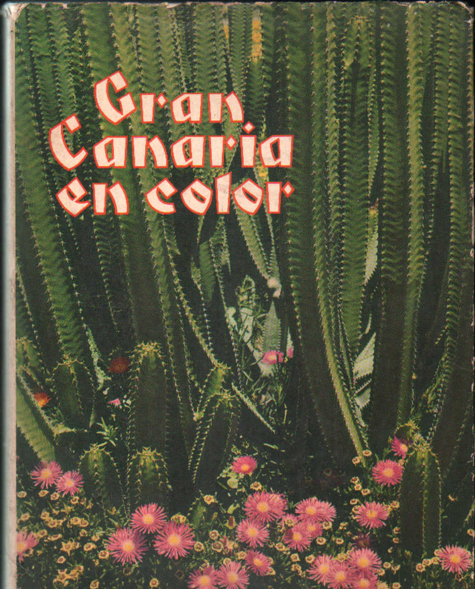 GRAN CANARIA EN COLOR