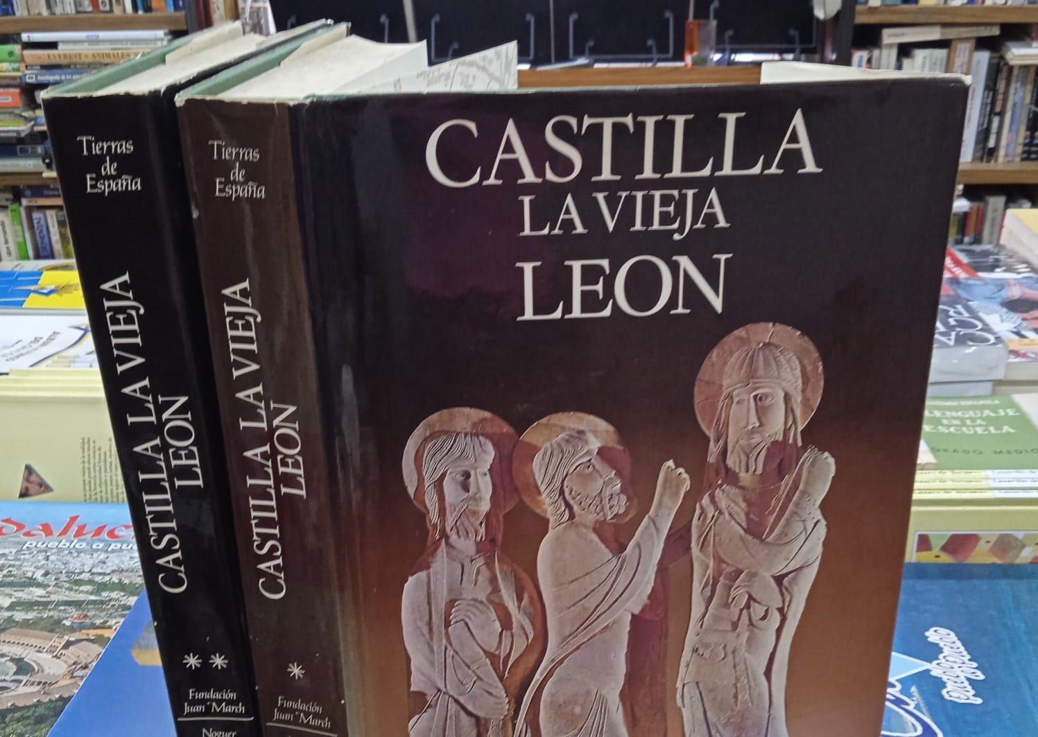 CASTILLA LA VIEJA LEON. 2 TOMOS.