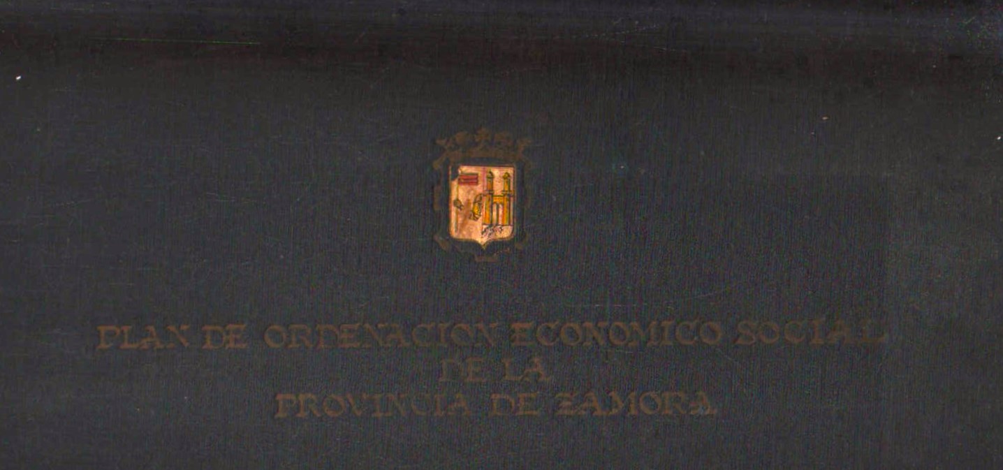 PLAN DE ORDENACIÓN ECONOMICO SOCIAL DE LA PROVINCIA DE ZAMORA