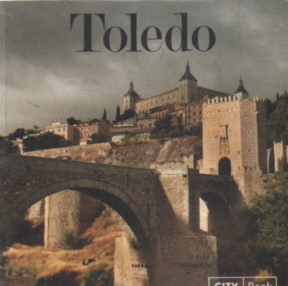 TOLEDO CITY BOOK