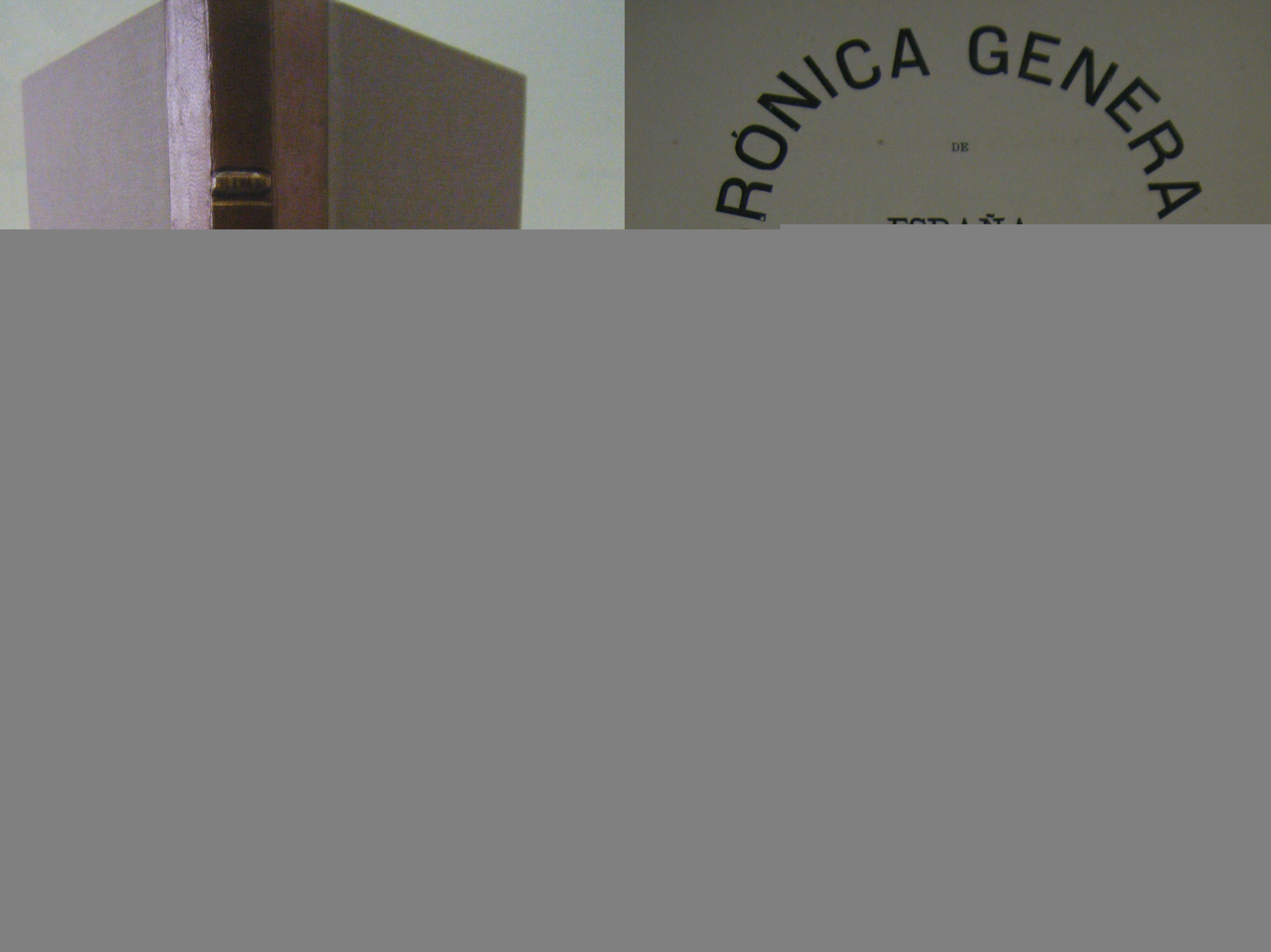 CRONICA GENERAL DE ESPAÑA: CRONICA DE LA PROVINCIA DE LÉRIDA