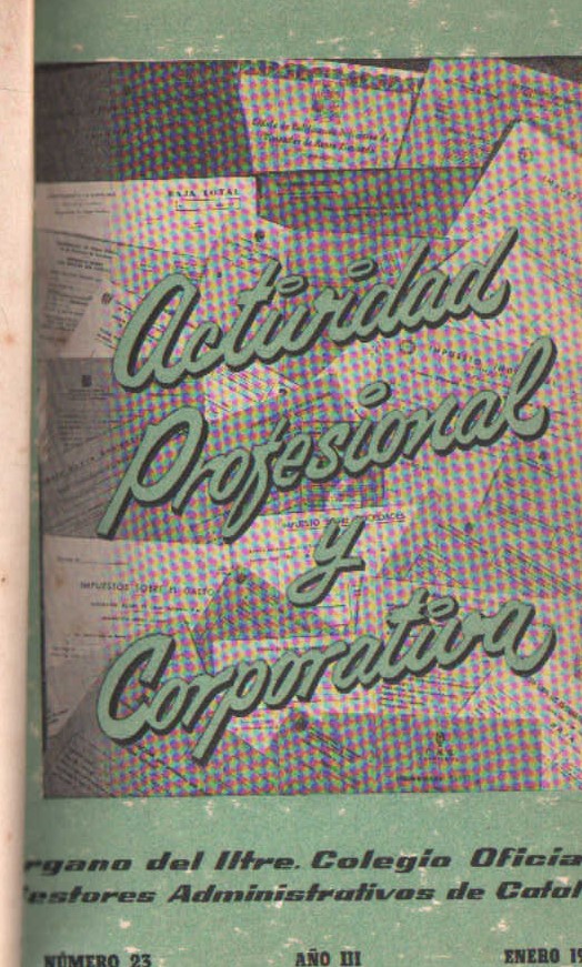 ACTIVIDAD PROFESIONAL Y CORPORATIVA 1963