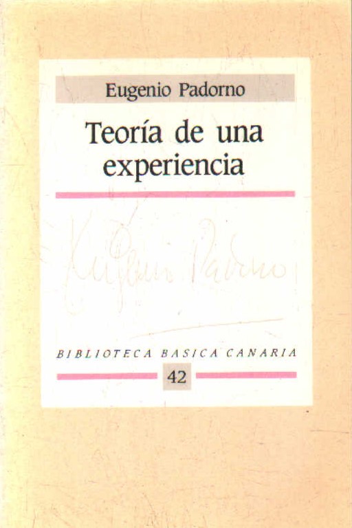 TEORÍA DE UNA EXPERIENCIA
