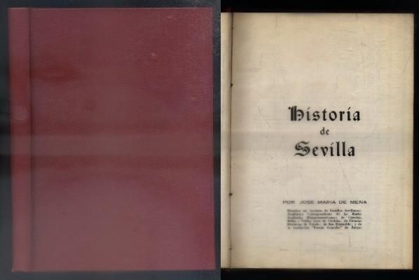 HISTORIA DE SEVILLA.