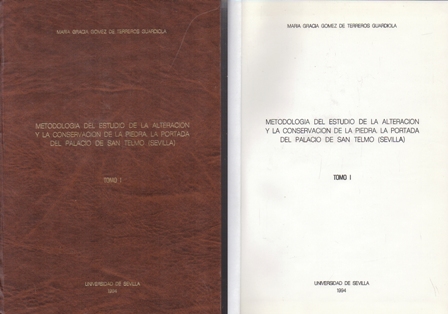 METODOLOGIA ESTUDIO DE LA ALTERACION Y LA CONSERVACION DE LA PIEDRA PORTADA PALACIO DE SAN TELMO 1