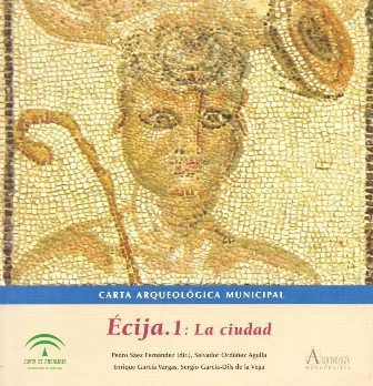 CARTA ARQUEOLOGICA MUNICIPAL. ECIJA. 1: LA CIUDAD