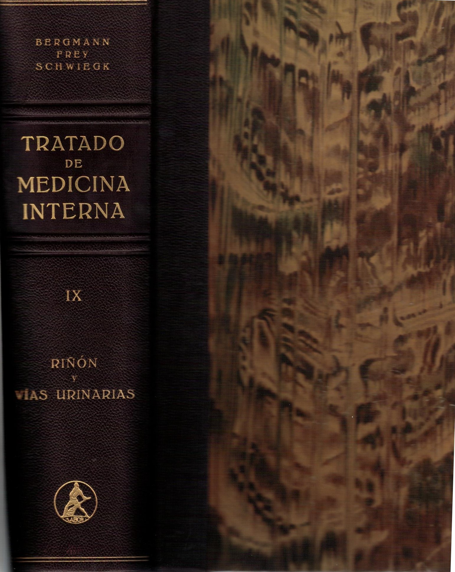 TRATADO DE MEDICINA INTERNA. TOMO IX: RIÑON Y VIAS URINARIAS