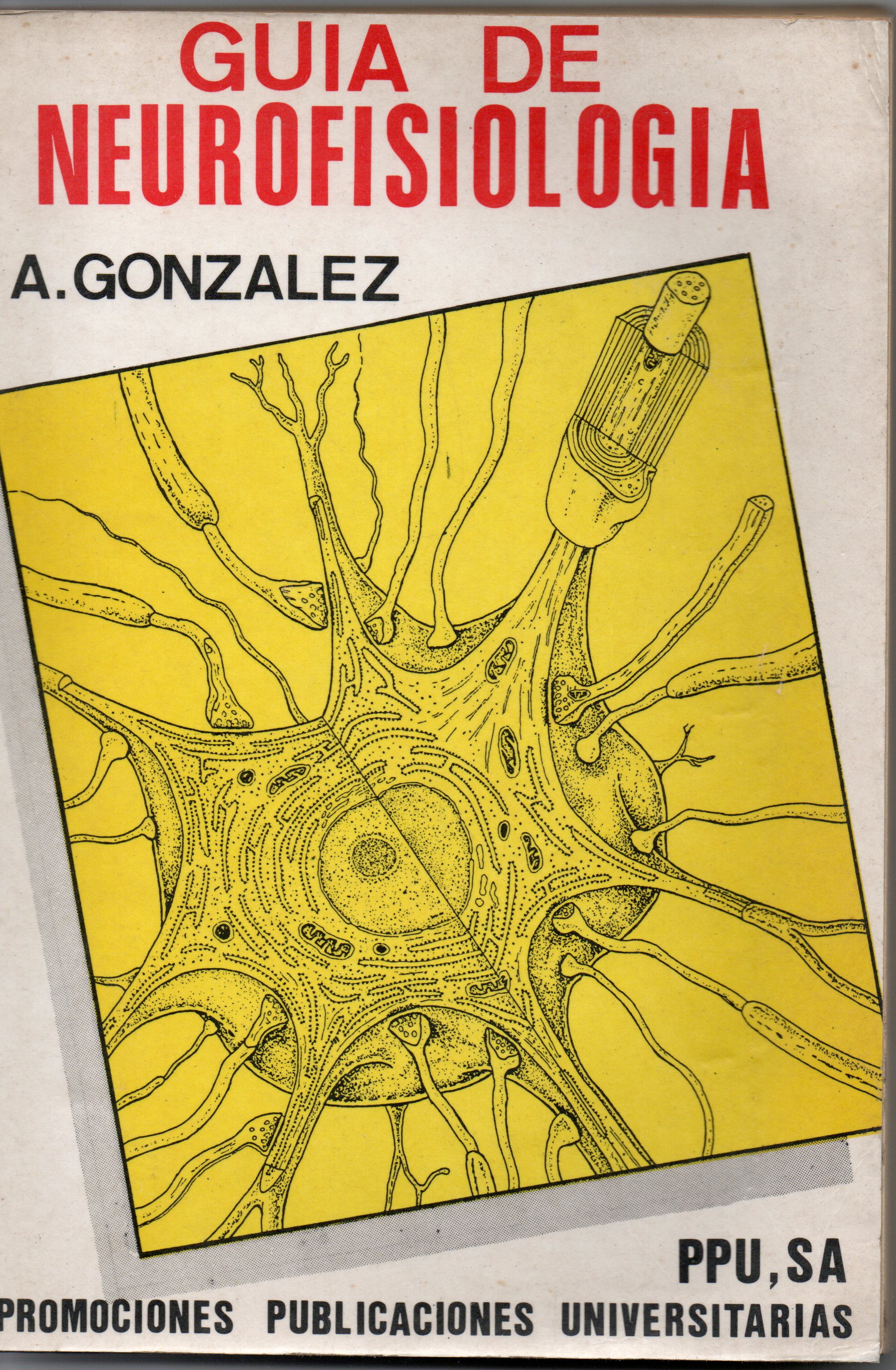 GUIA DE NEUROFISIOLOGIA.