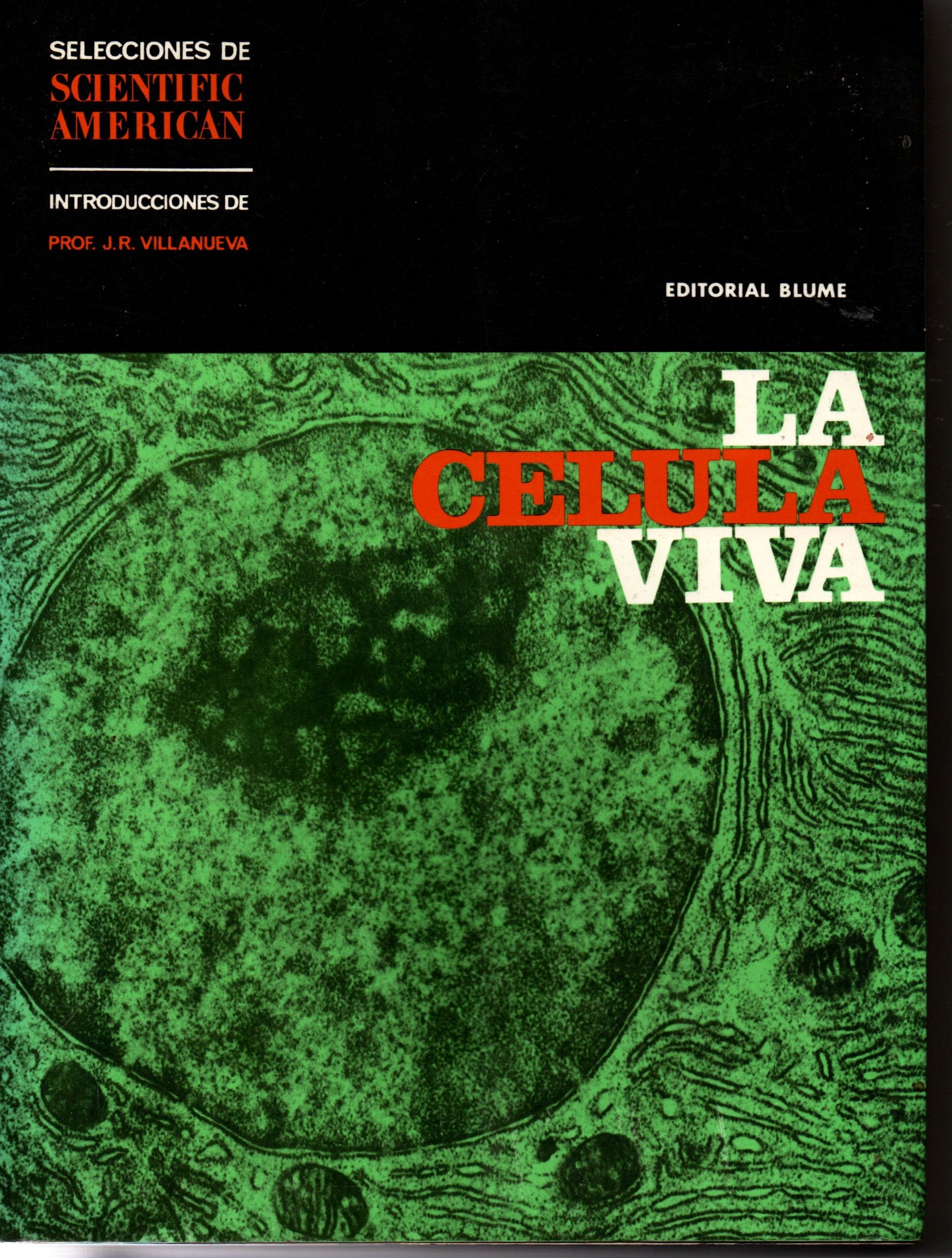 LA CELULA VIVA.
