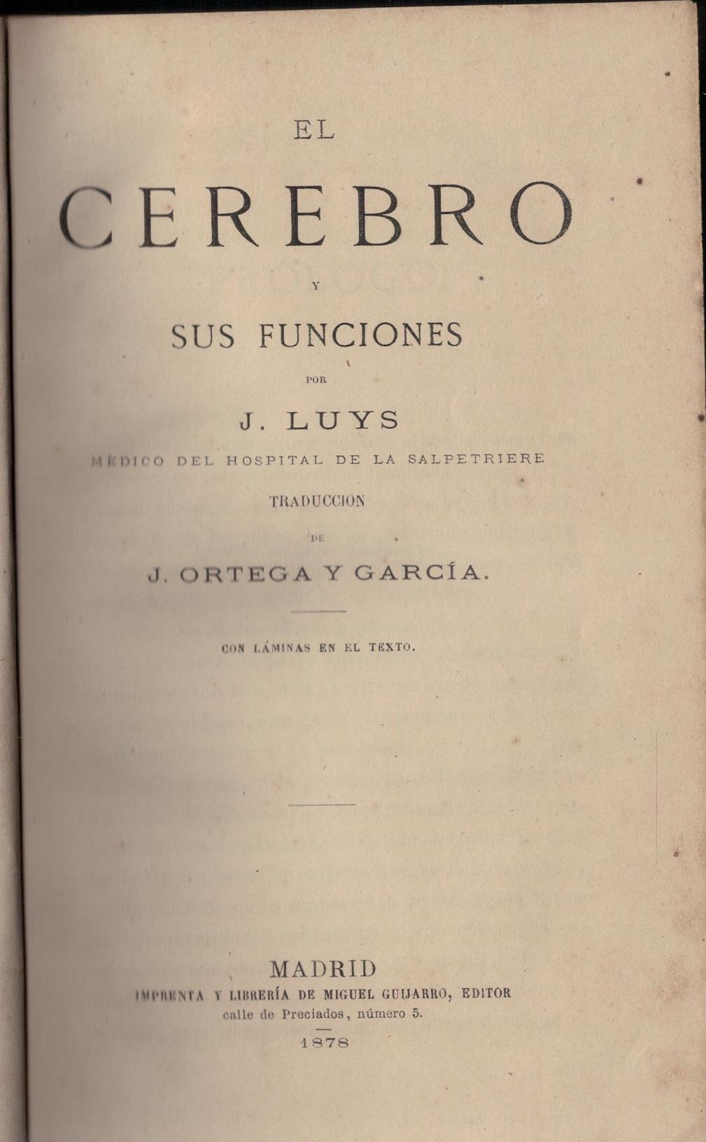EL CEREBRO Y SUS FUNCIONES.