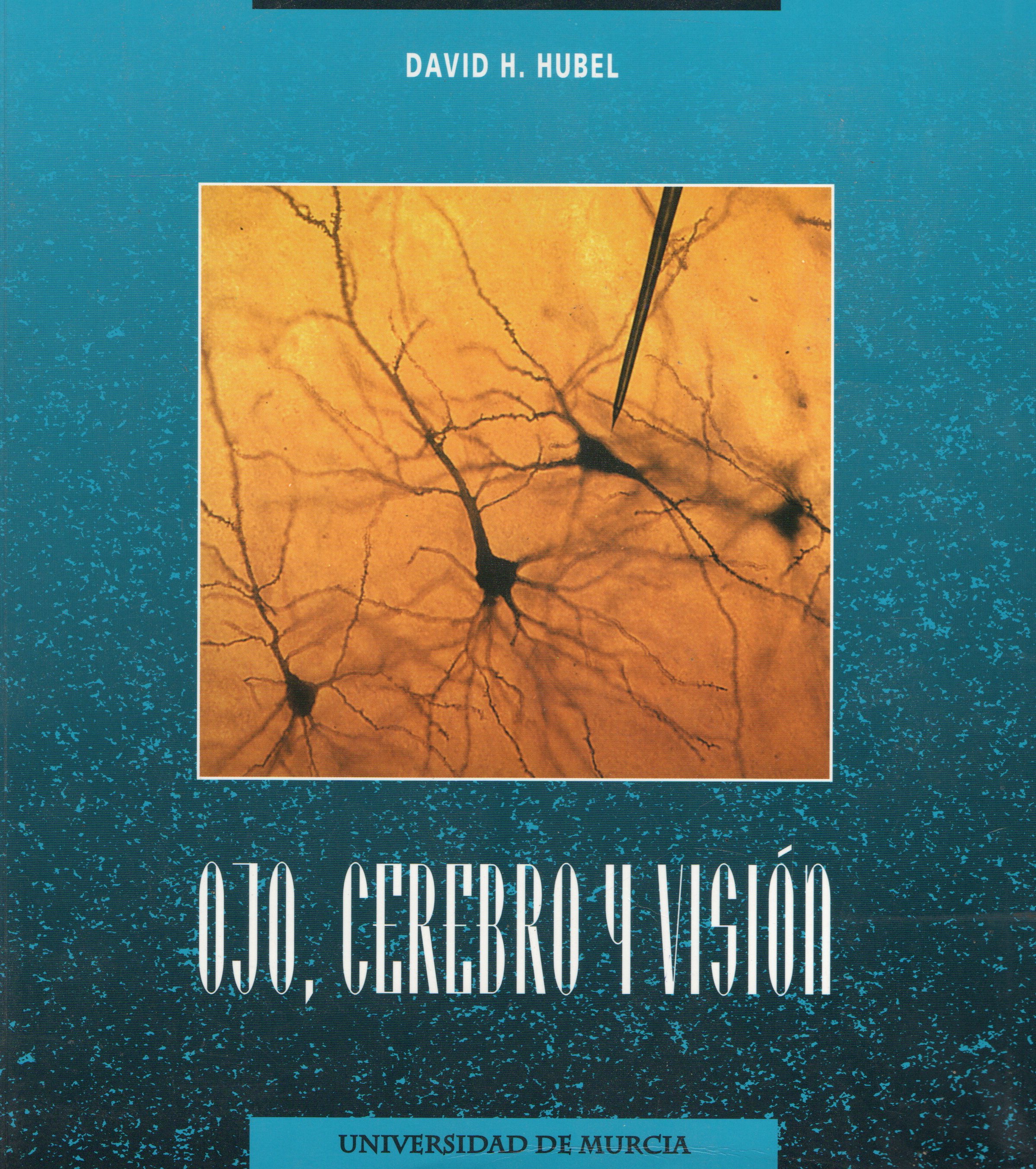 OJO, CEREBRO Y VISION