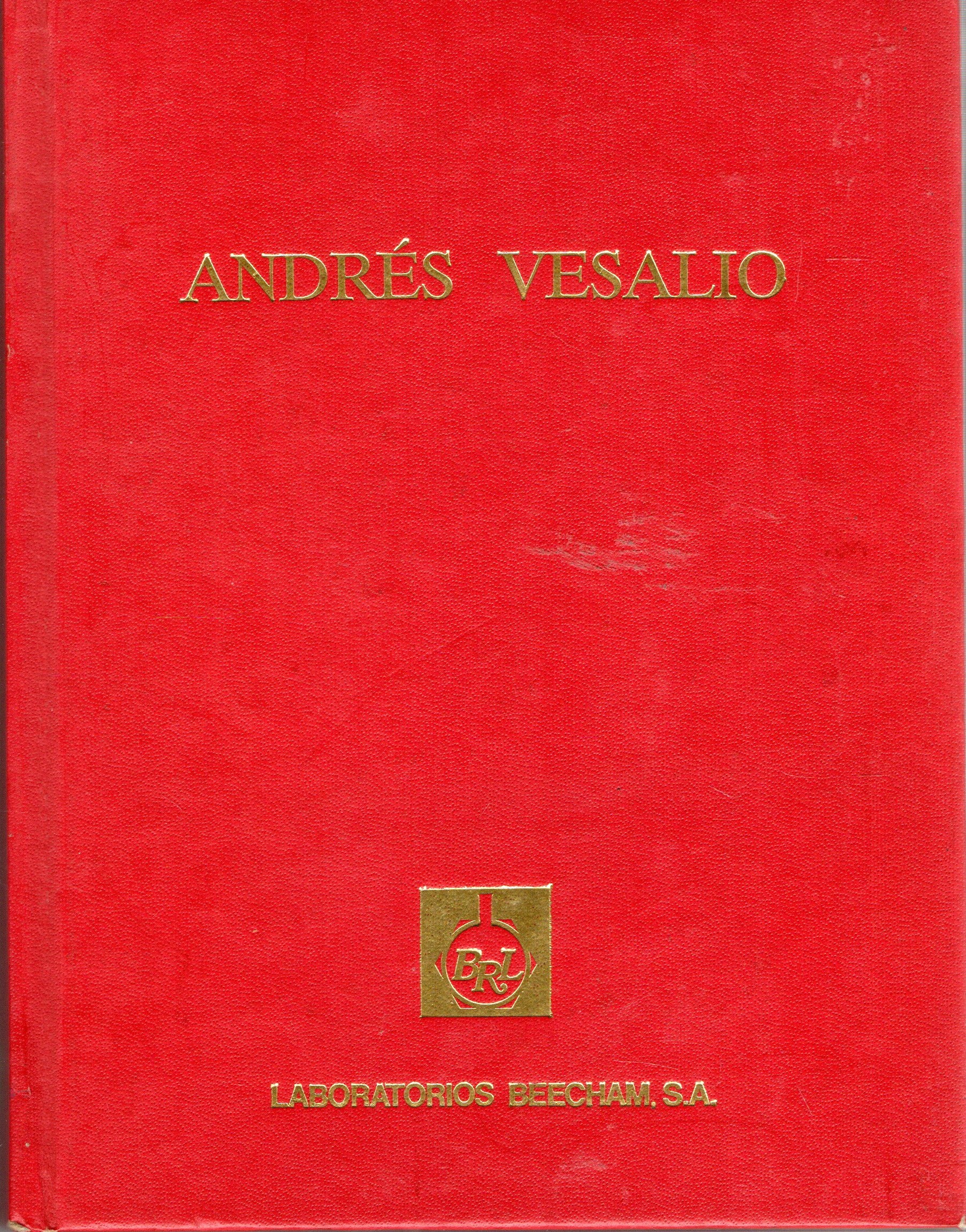 ICONOGRAFÍA ANATOMICA