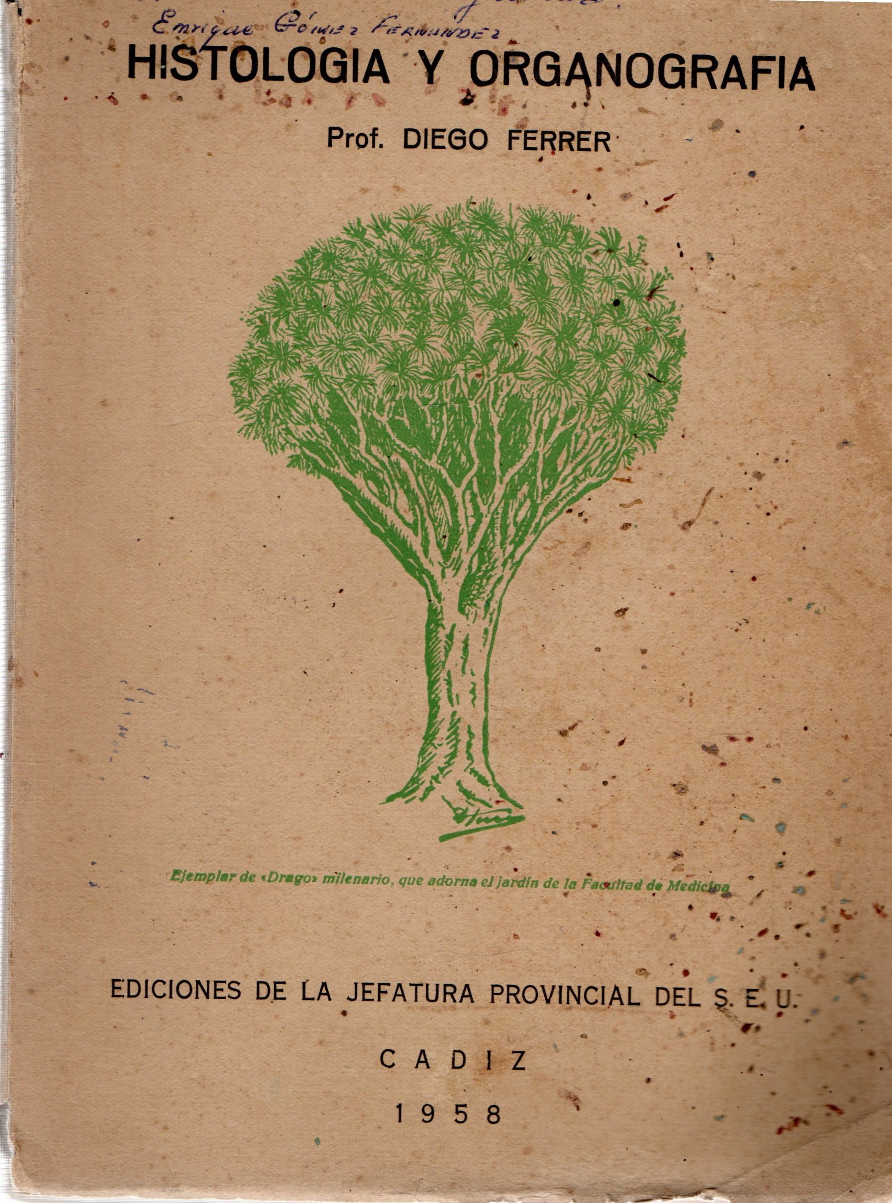 HISTOLOGIA Y ORGANOGRAFIA