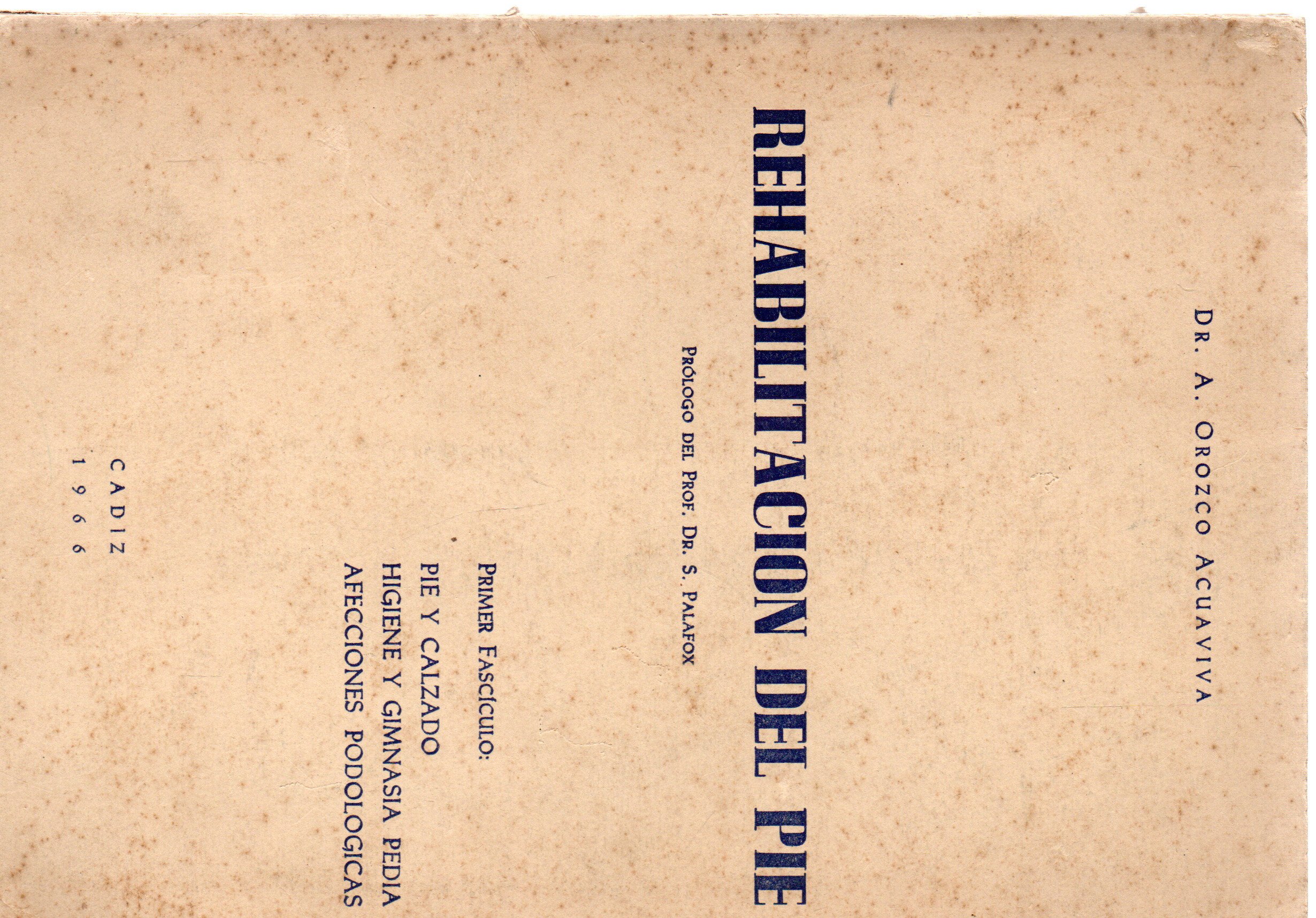 REHABILITACION DEL PIE
