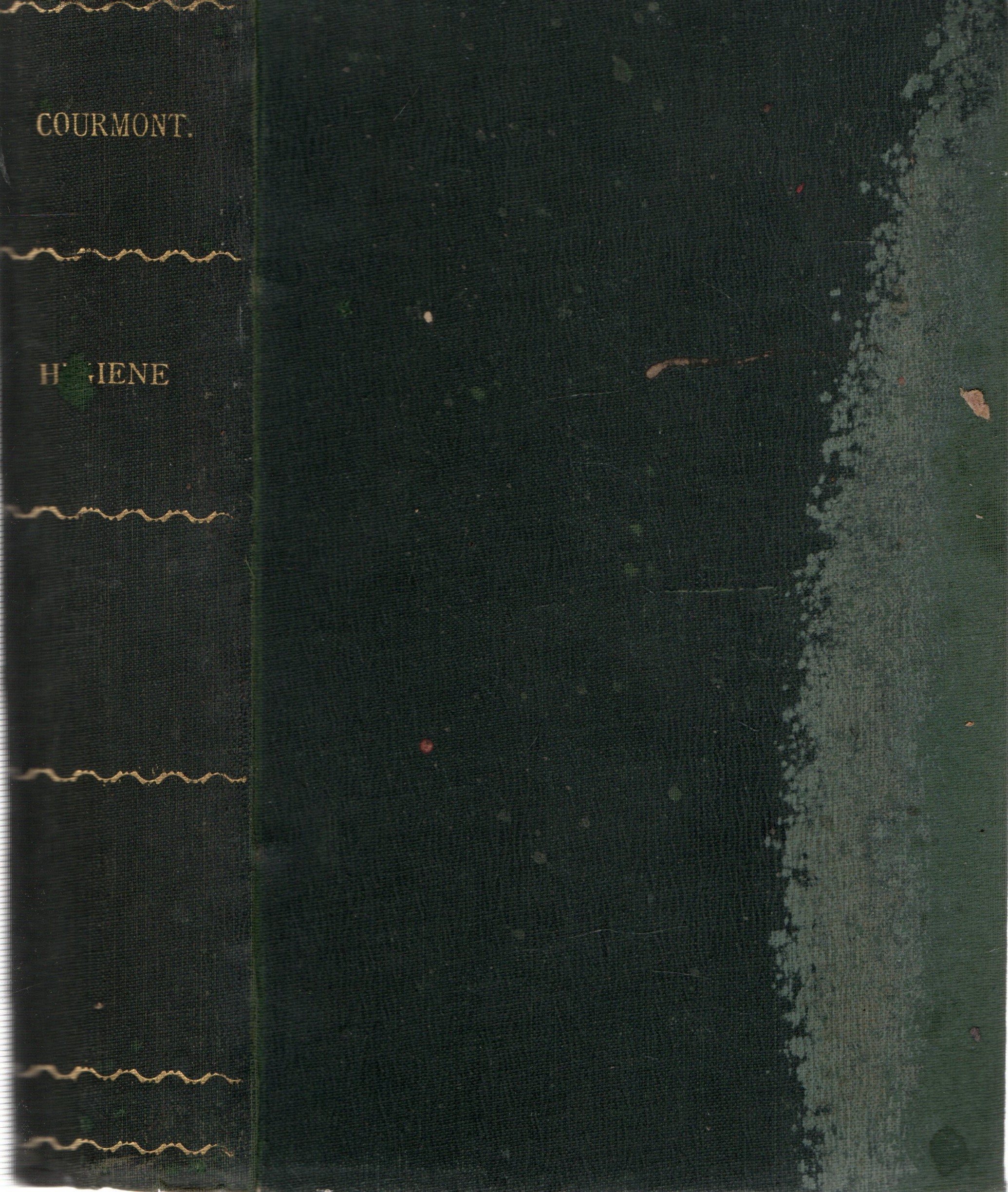 MANUAL DE HIGIENE