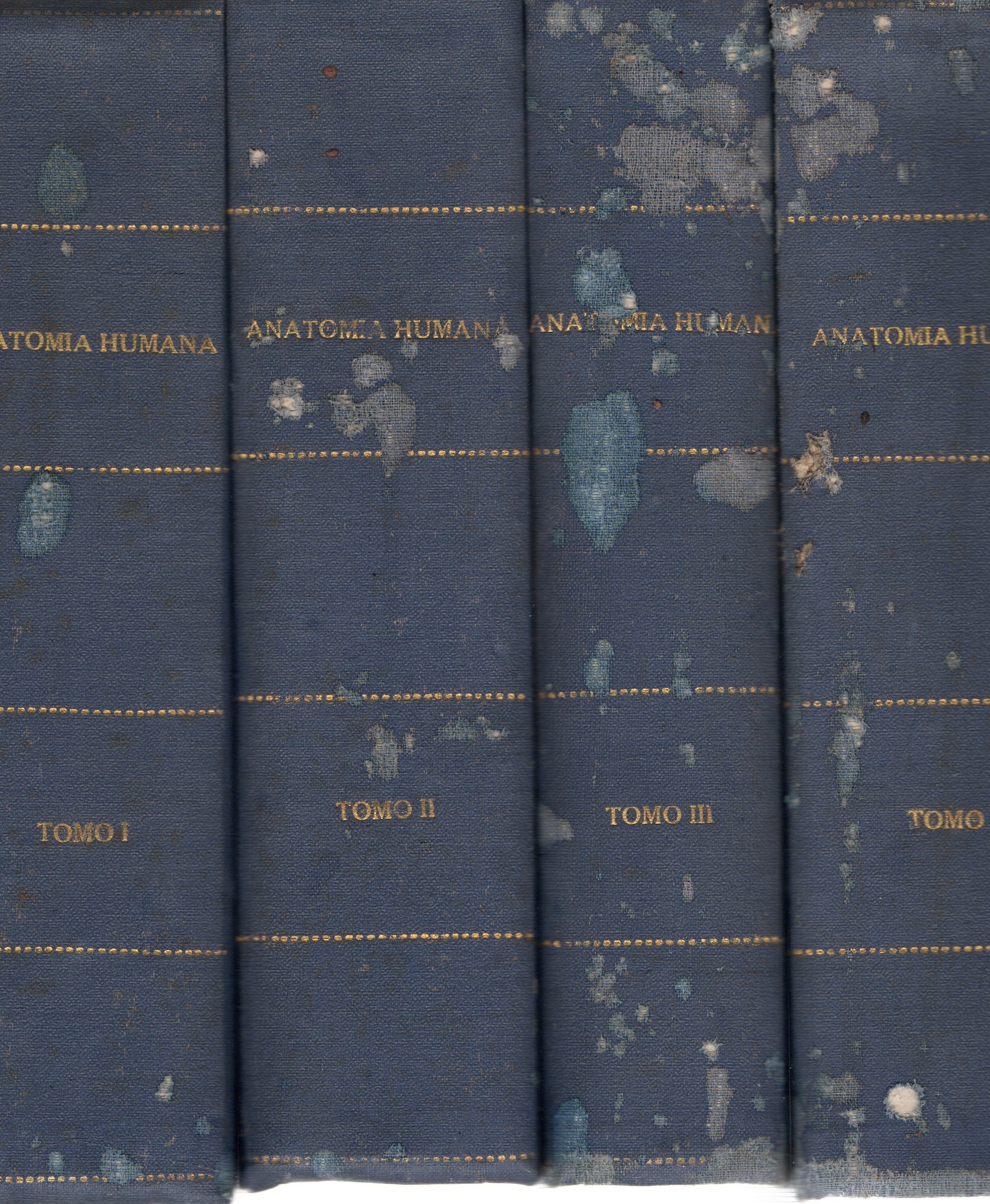 TRATADO DE ANATOMIA HUMANA TOMOS I, II, III Y IV