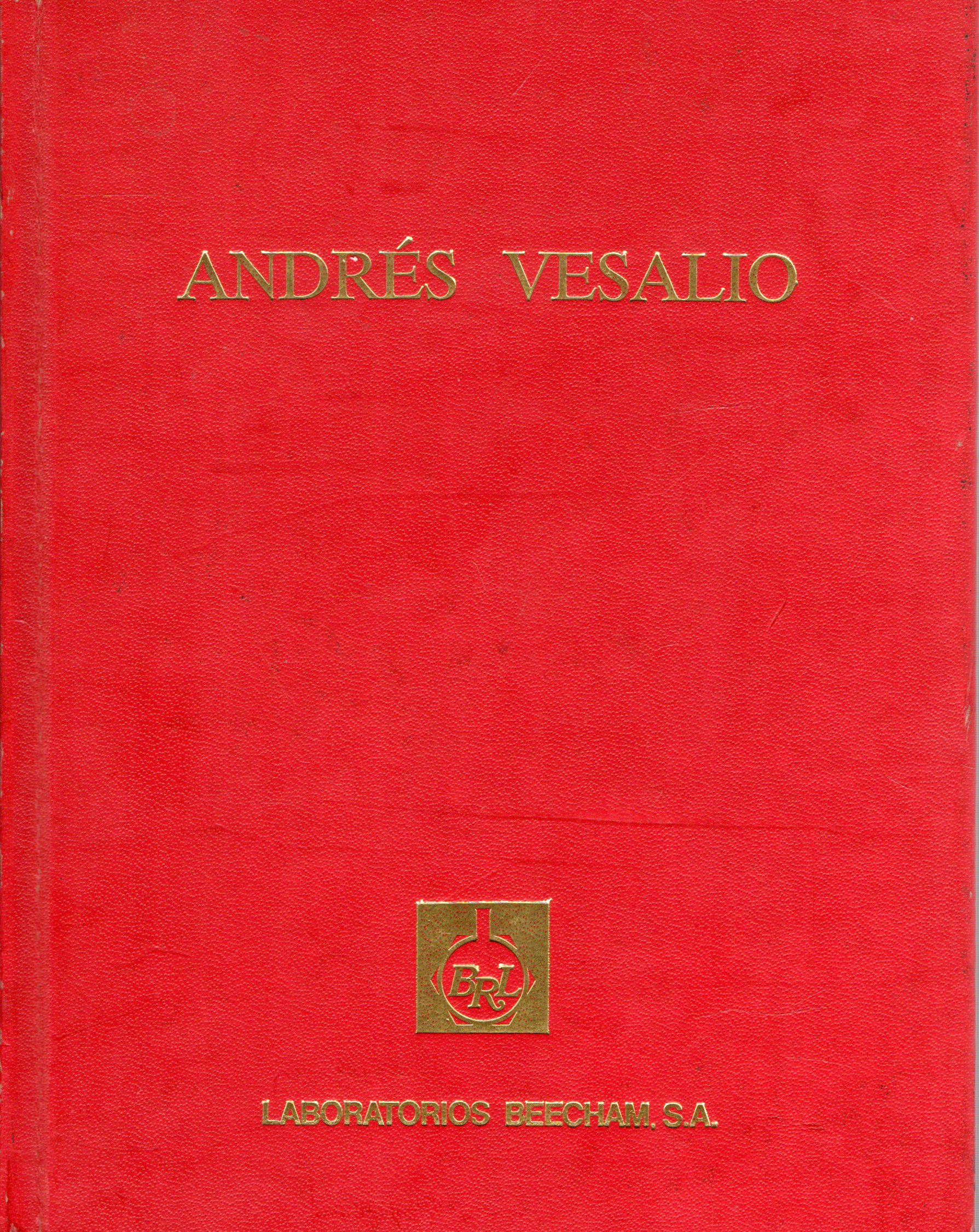 ICONOGRAFIA ANATOMICA