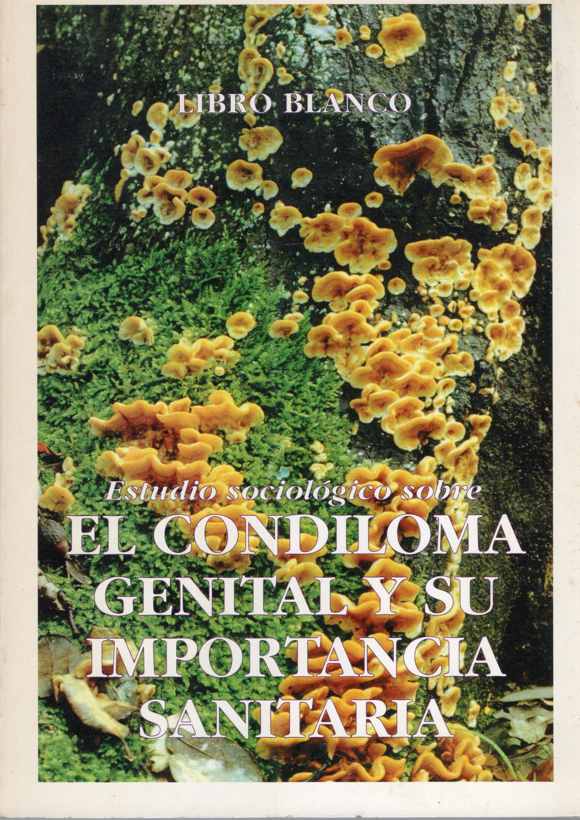 ESTUDIO SOCIOLOGICO SOBRE EL CONDILOMA GENITAL Y SU IMPORTANCIA SANITARIA