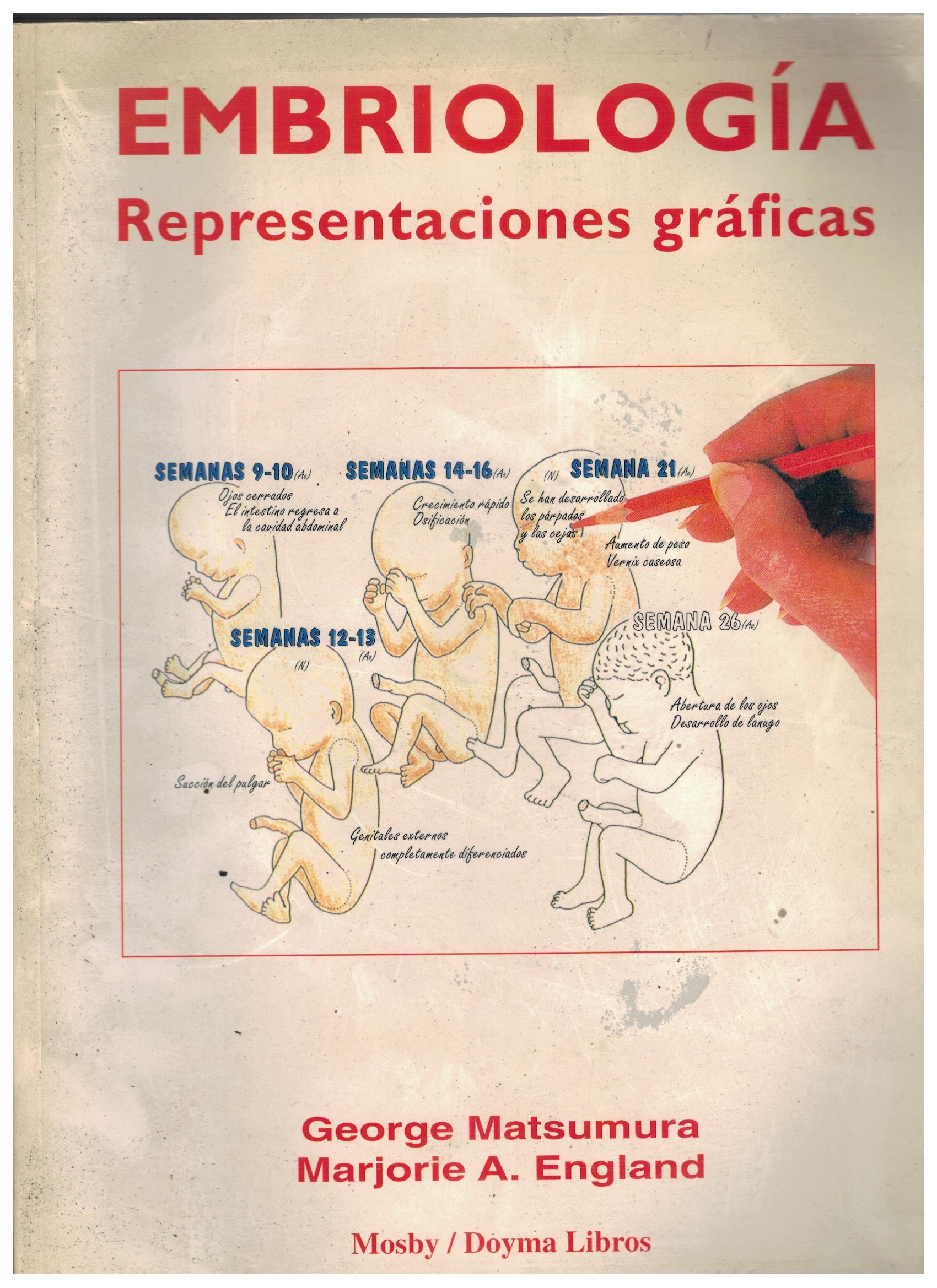 EMBRIOLOGIA REPRESENTACIONES GRAFICAS
