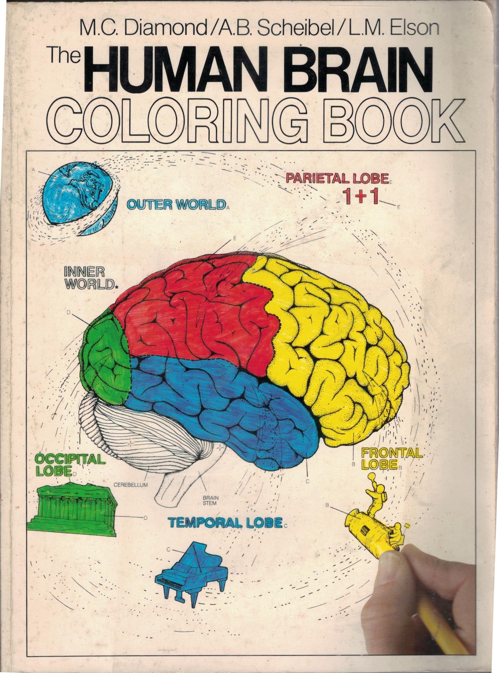THE HUMAN BRAIN COLORING BOOK