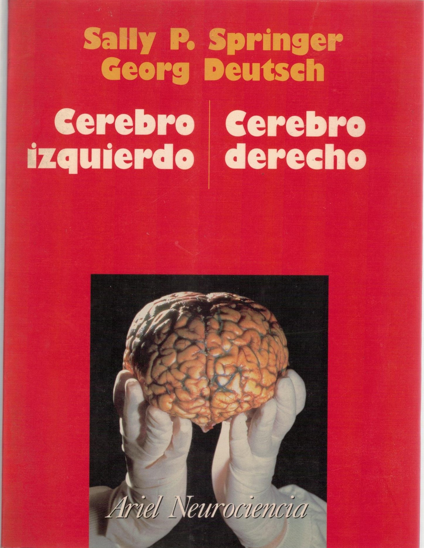 CEREBRO IZQUIERDO CEREBRO DERECHO