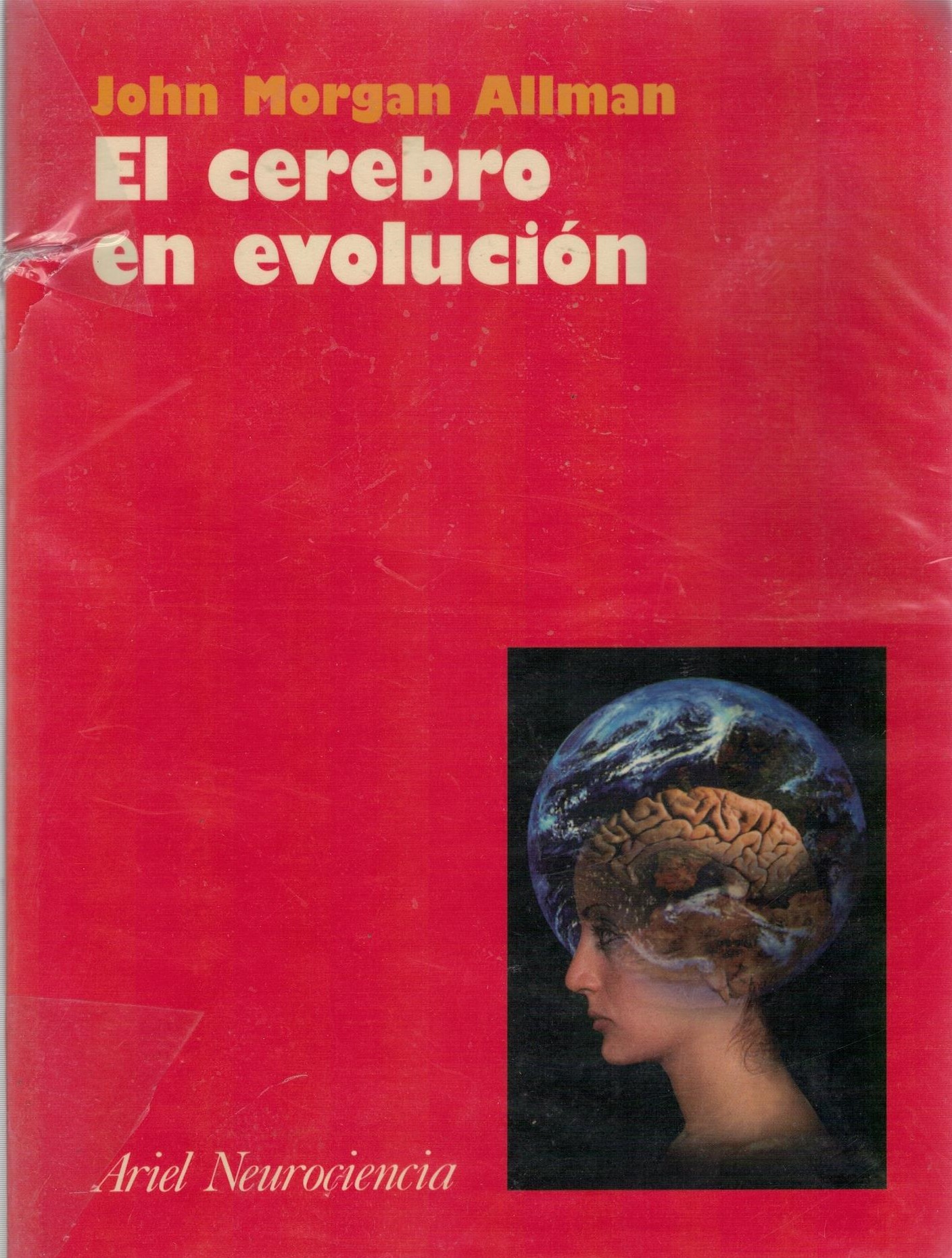 EL CEREBRO EN EVOLUCION