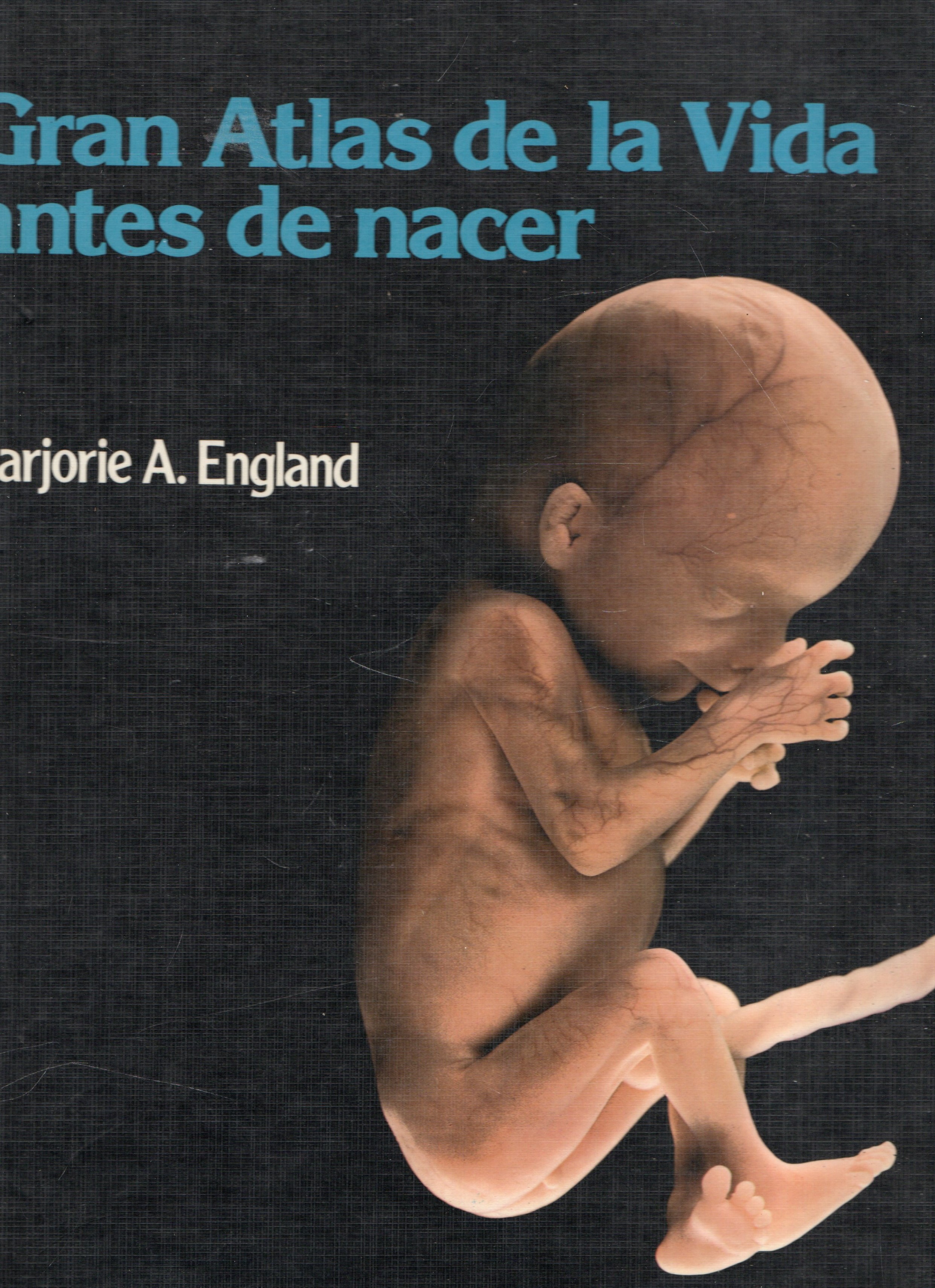 GRAN ATLAS DE LA VIDA ANTES DE NACER