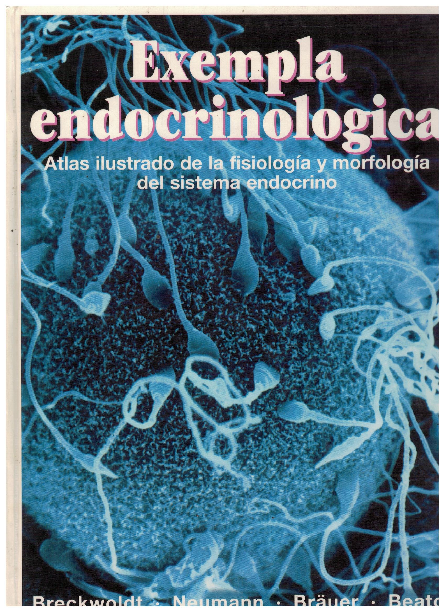 EXEMPLA ENDOCRINOLOGICA