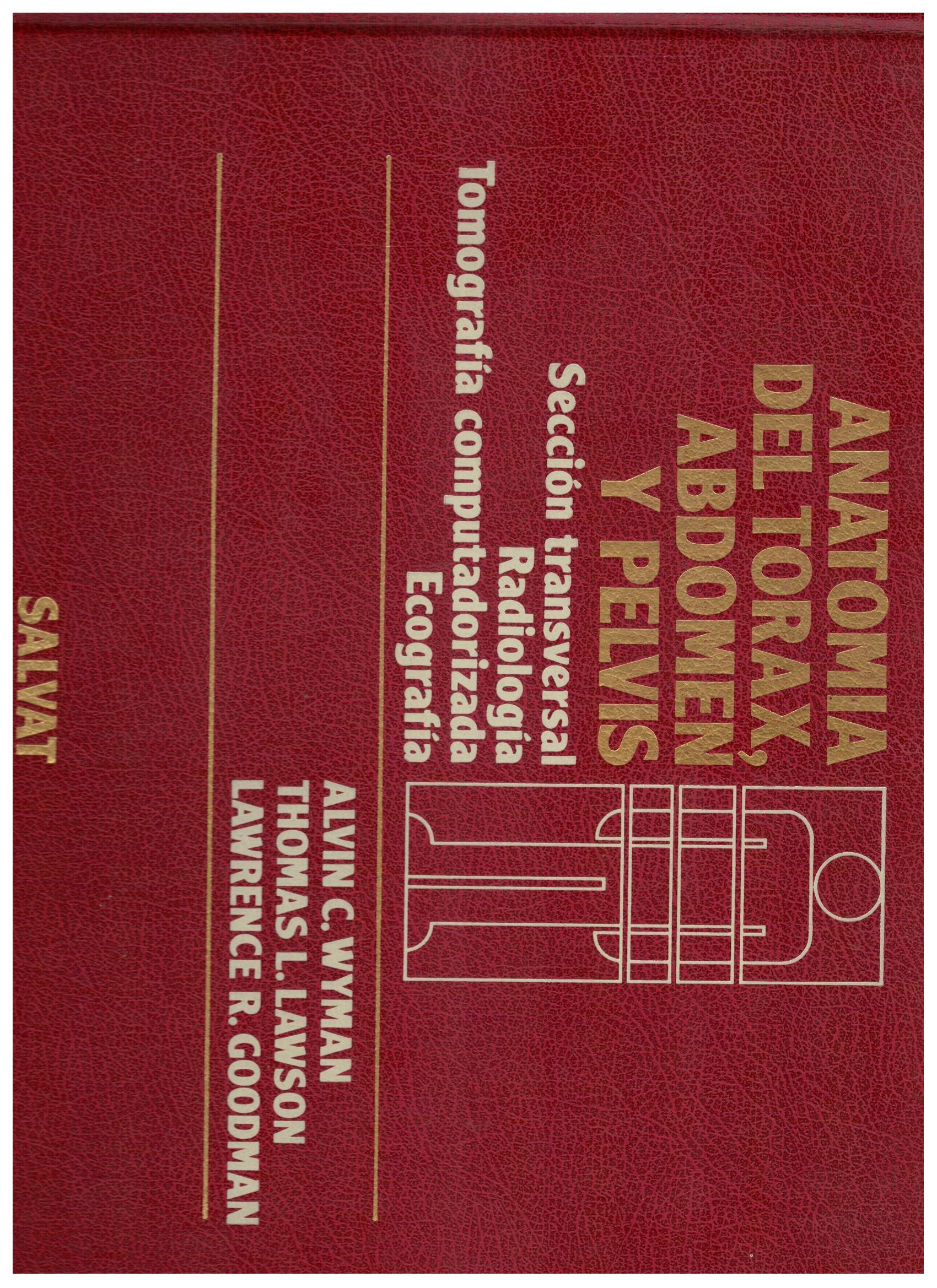 ANATOMIA DEL TORAX, ABDOMEN Y PELVIS