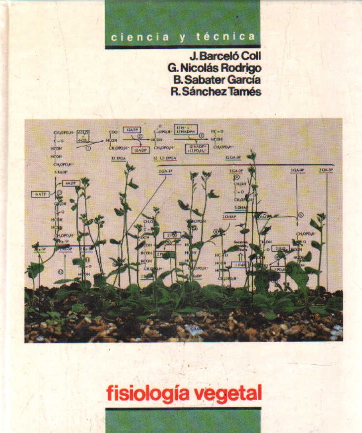 FISIOLOGÍA VEGETAL