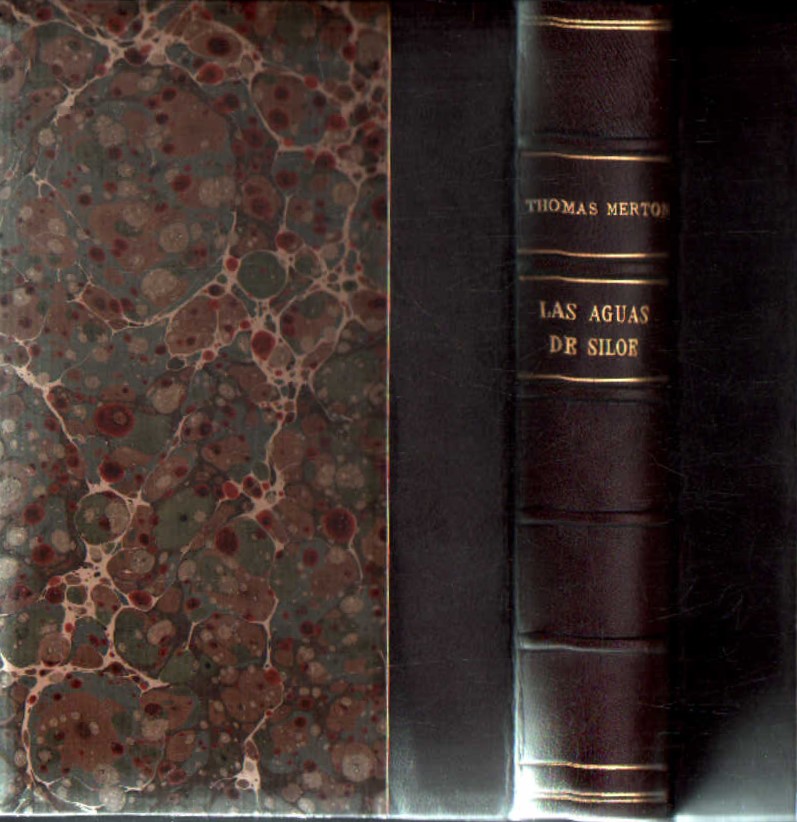 LAS AGUAS DE SILOE