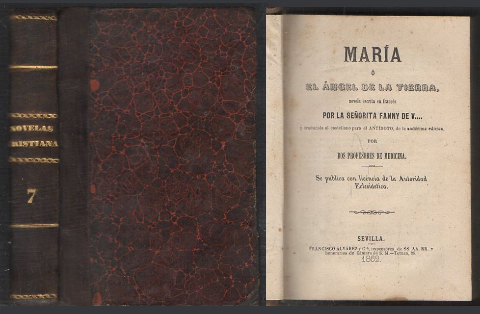 MARIA O EL ANGEL DE LA TIERRA