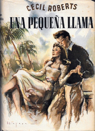 UNA PEQUEÑA LLAMA