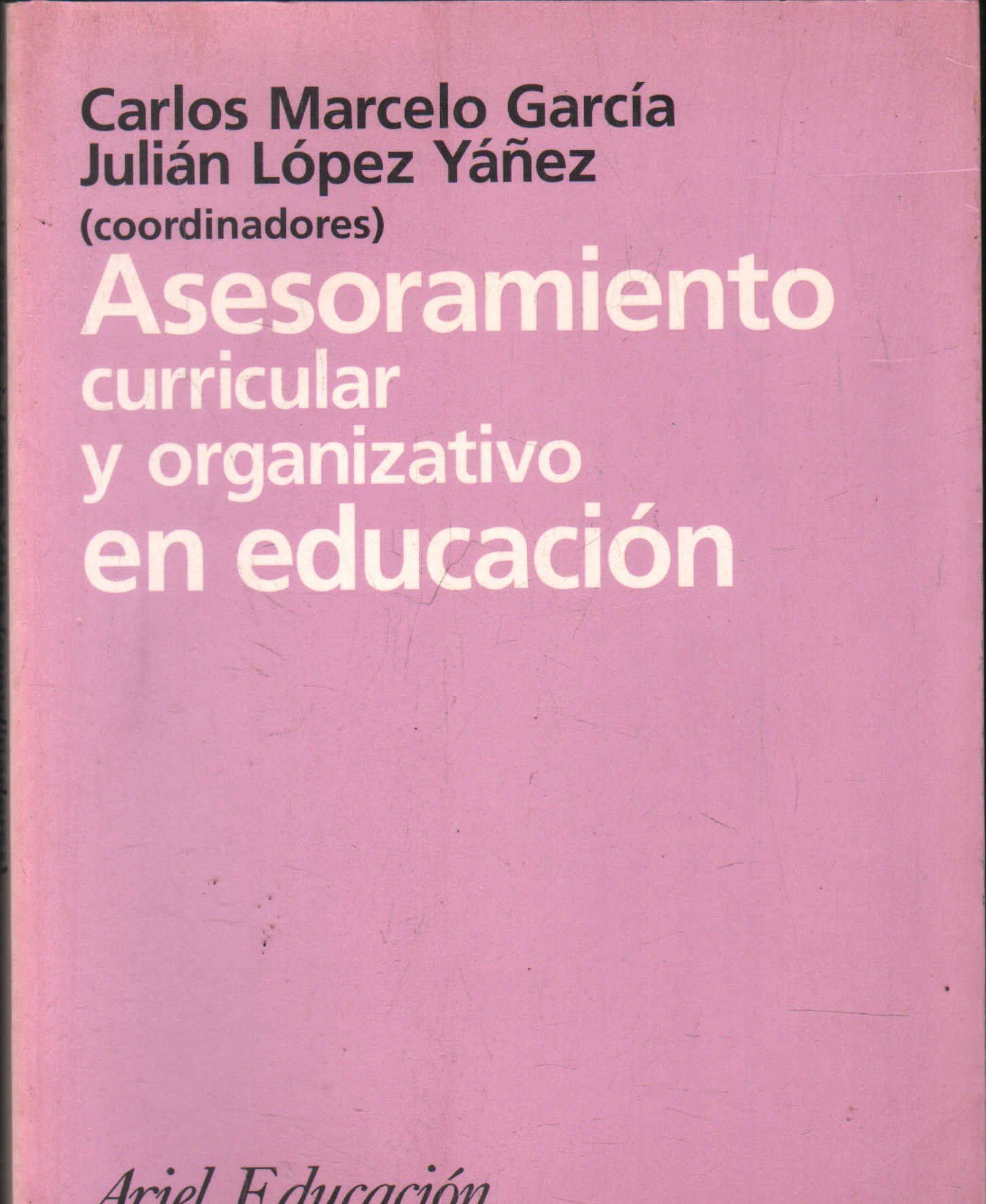 ASESORAMIENTO CURRICULAR Y ORGANIZATIVO EN EDUCACION.