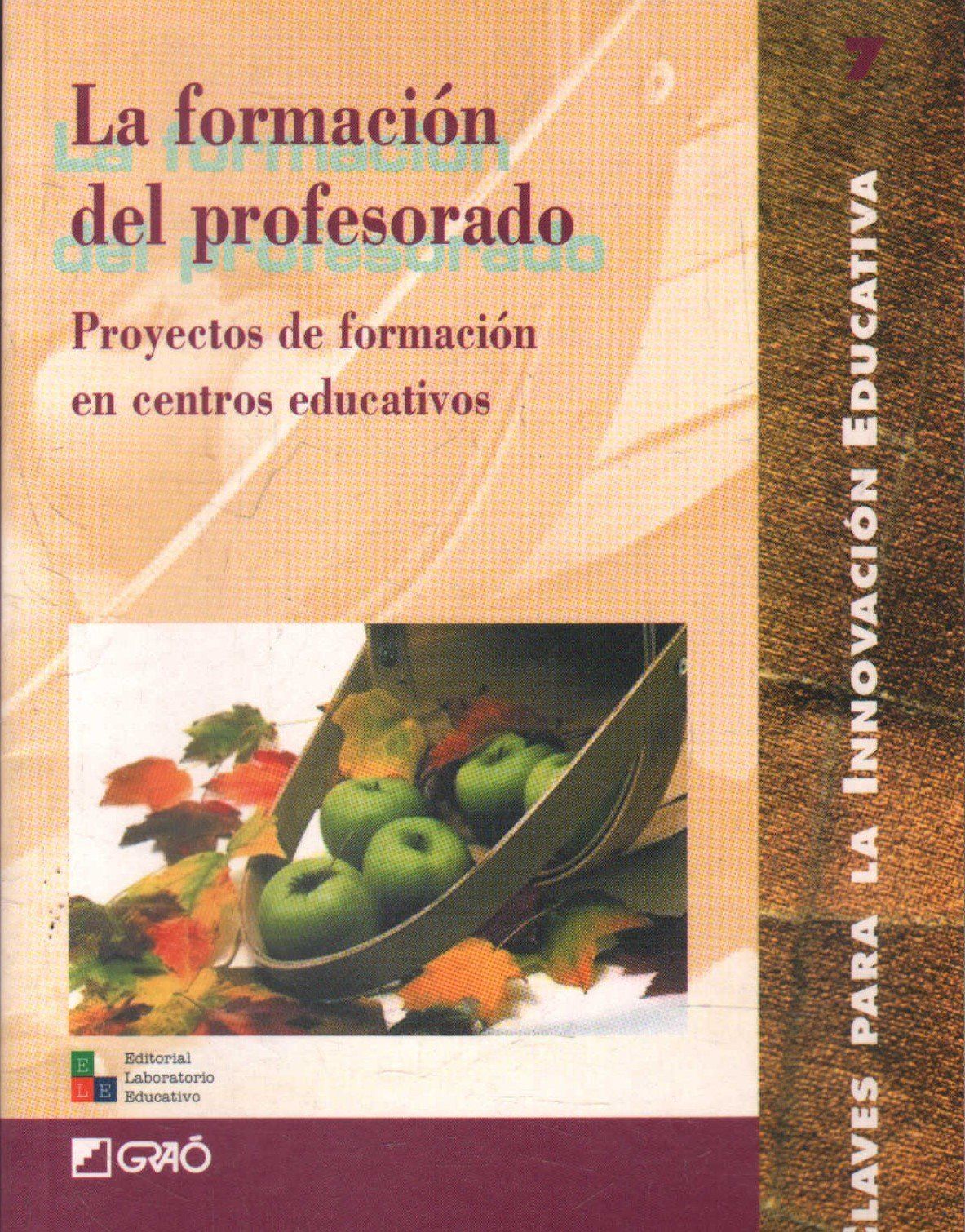 LA FORMACION DEL PROFESORADO.