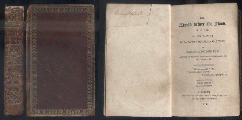 WORD BEFORE THE FLOOD.  A POEM, IS TEN CANTOS: WITH OTHER OCCASIONAL PIECES.
