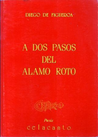 A DOS PASOS DEL ALAMO ROTO.