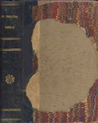 LOS PEQUEÑOS POEMAS