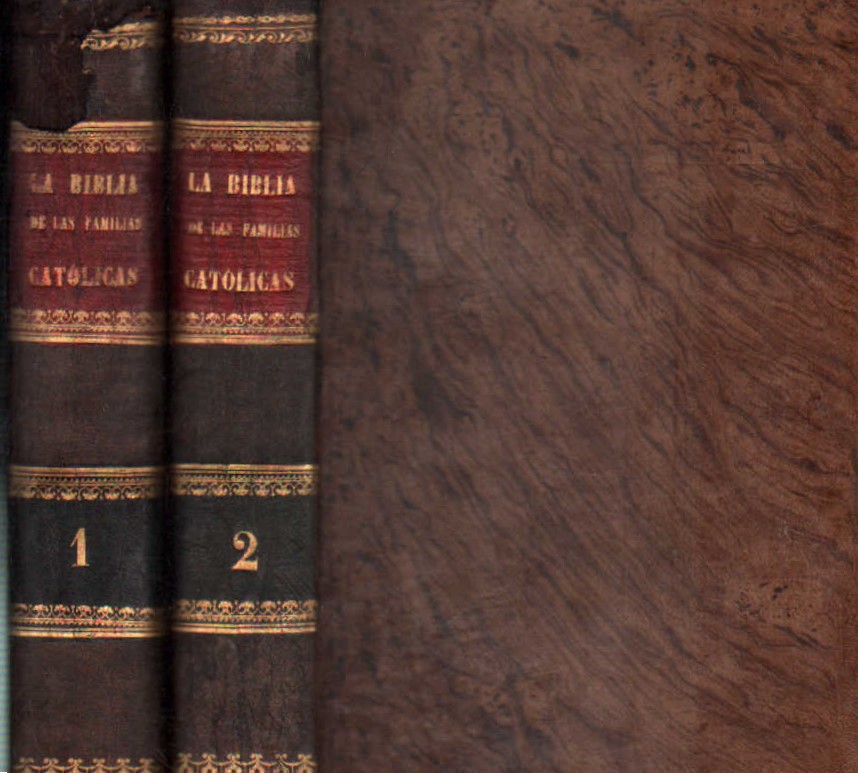 LA BIBLIA DE LAS FAMILIAS CATÓLICAS (2 TOMOS)