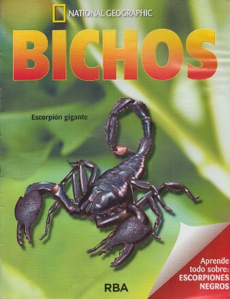REVISTA BICHOS NATIONAL GEOGRAPHIC APRENDE TODO SOBRE ESCORPIONES NEGROS